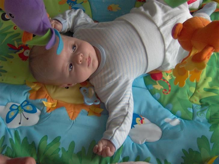 Dreng Oliver billede 14