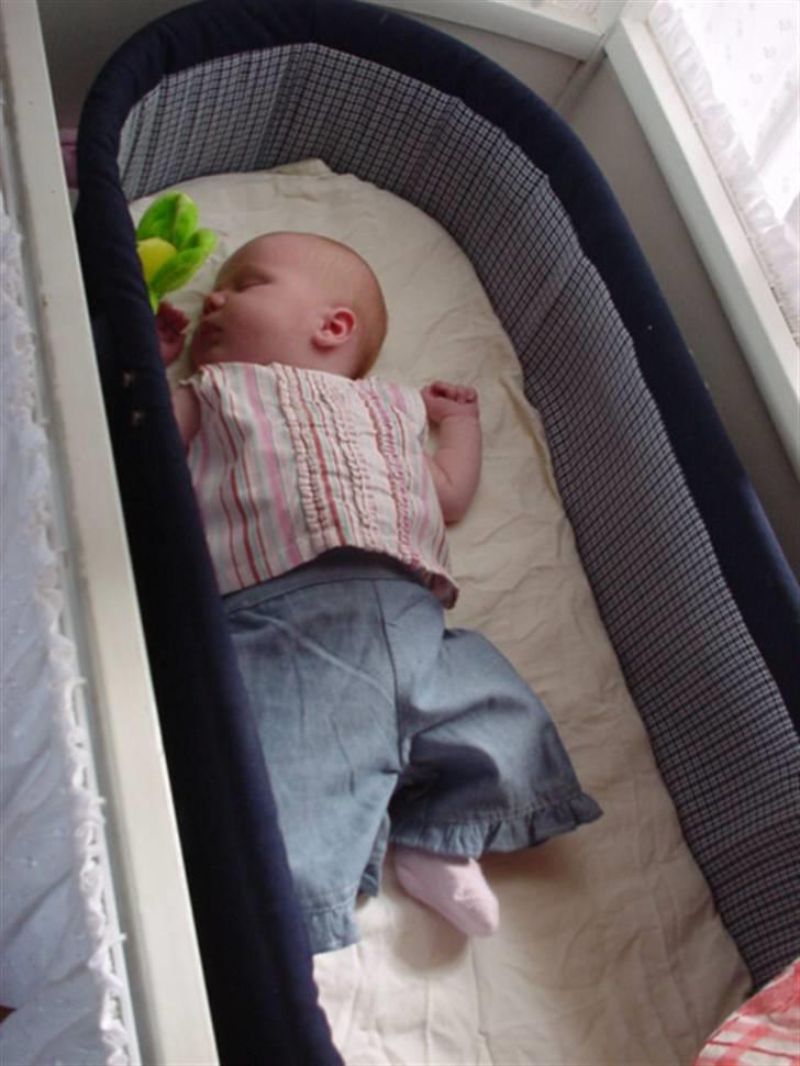 Pige Josephine Hannibal - Ca en uge gammel billede 3