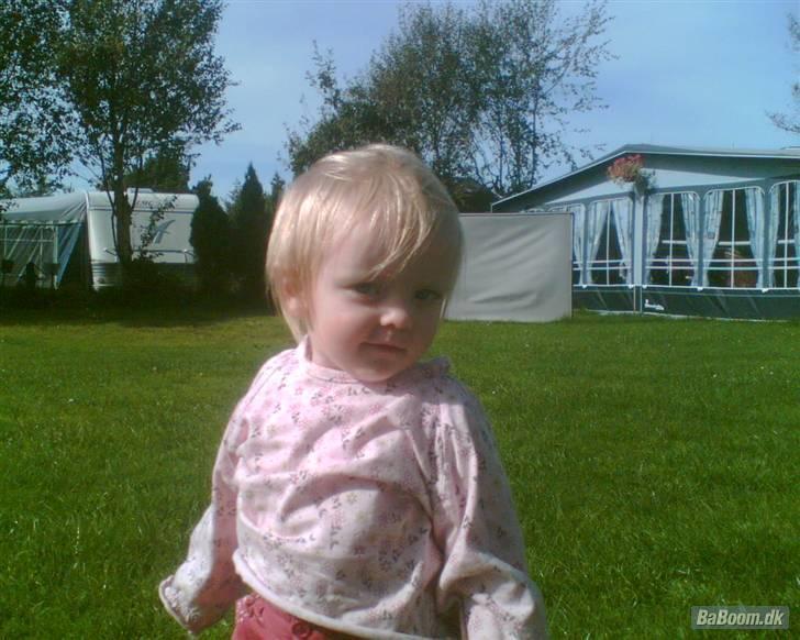 Pige Pauline (i plejefamilie) billede 2