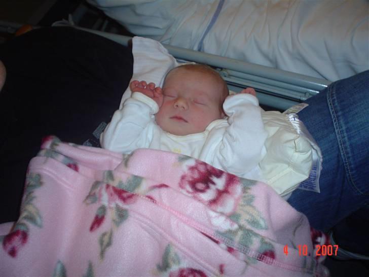 Pige freya billede 1