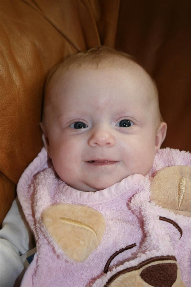 Pige Silke - dejlige skattepige billede 3