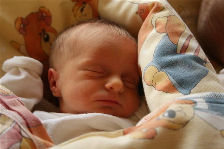 Pige Silke - Helt ny i verden ;o) billede 4