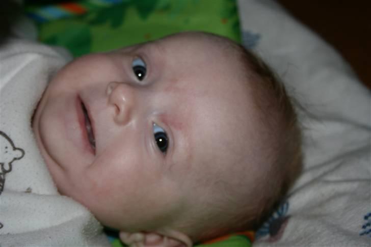 Pige Silke billede 7