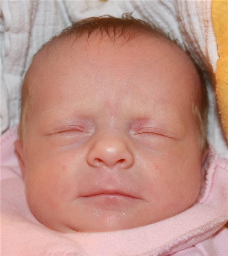 Pige Silke billede 8