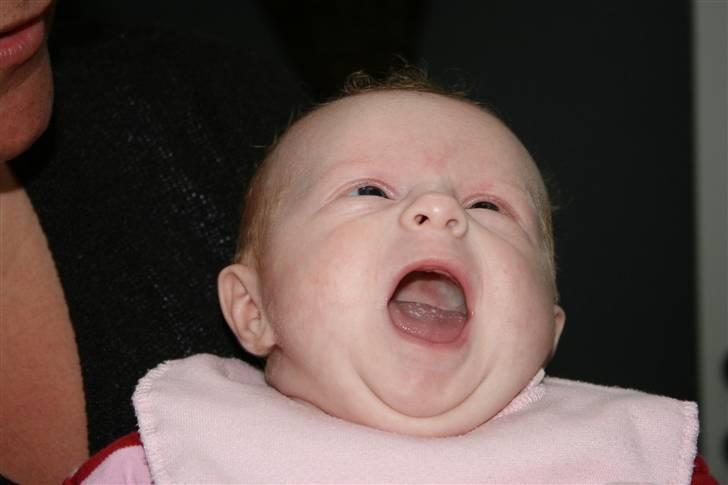 Pige Silke billede 10