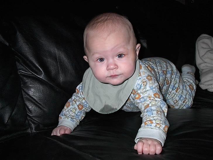 Dreng magnus - første gang han lå i kravlestilling. billede 2