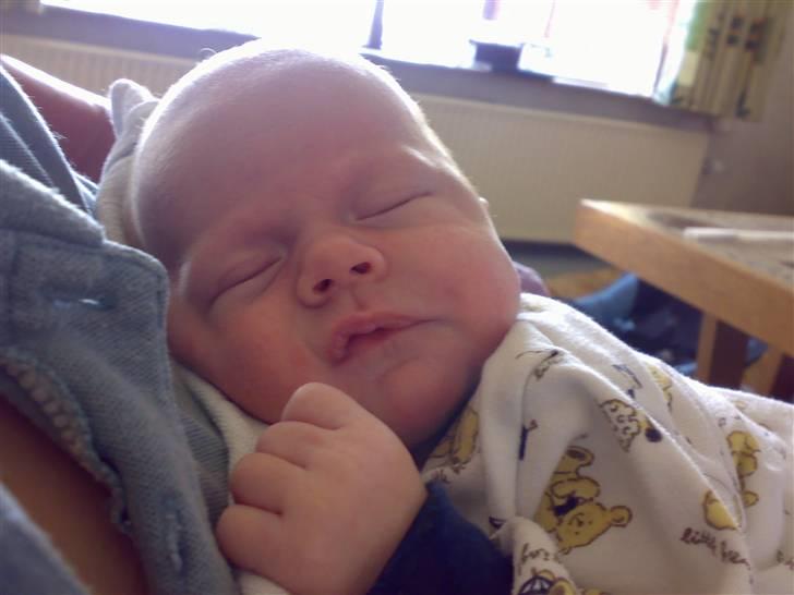 Dreng magnus - får en lille lur på brystet af mor... ja, det er slut med det nu. billede 3