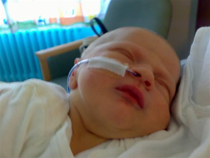 Dreng magnus - da man var meget ny.. 1 døgn gammel ca.  billede 6