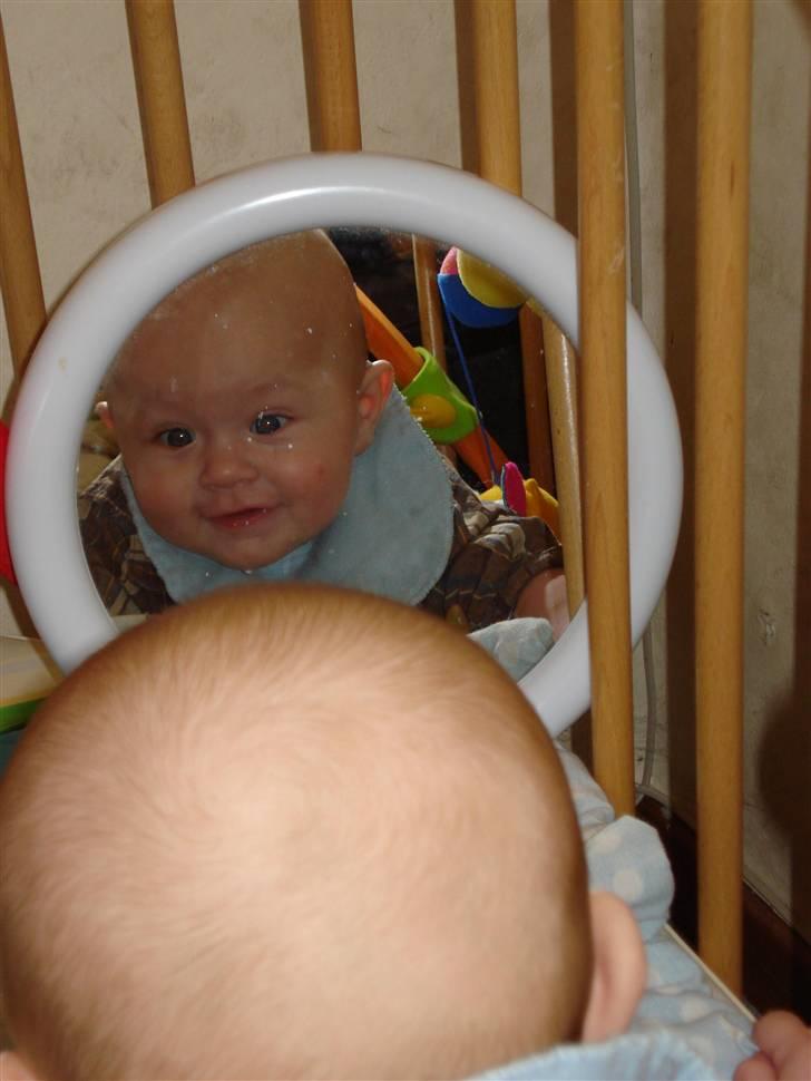 Dreng magnus - halloooo.....  hvem der? billede 7