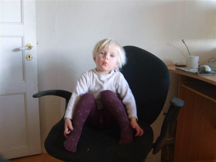 Pige charlotte  billede 2