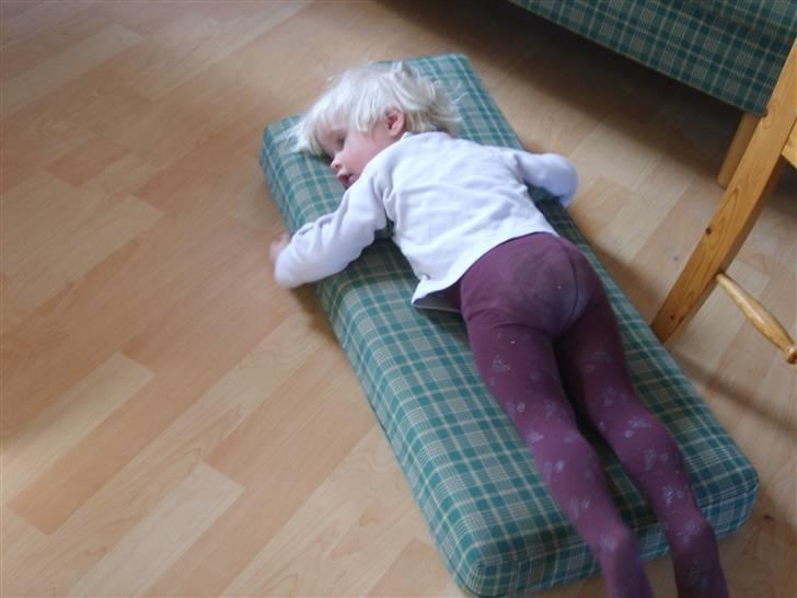 Pige charlotte  billede 7