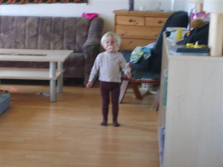 Pige charlotte  billede 8