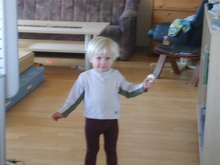 Pige charlotte  billede 9