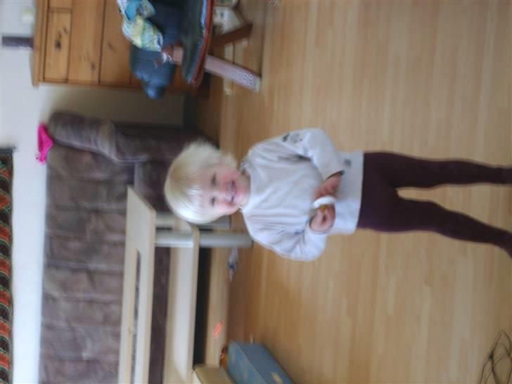 Pige charlotte  billede 10