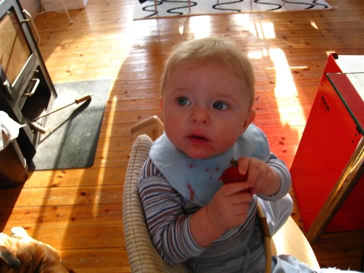 Dreng Oliver billede 18