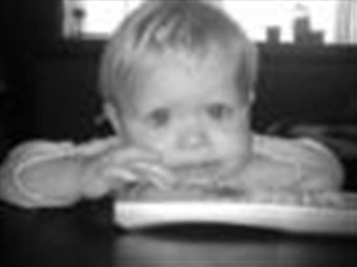 Pige Saseline billede 7