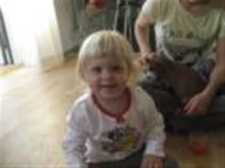 Pige Saseline billede 8