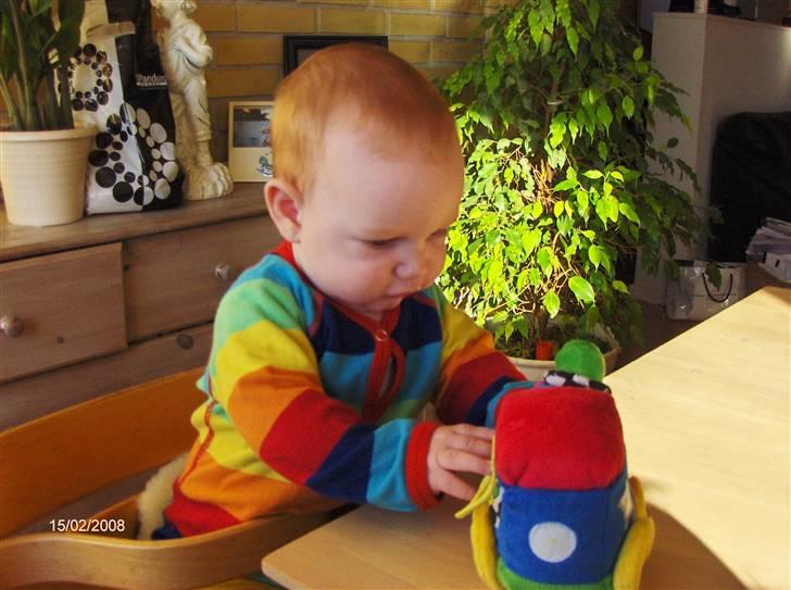 Dreng Matias Marinus billede 10