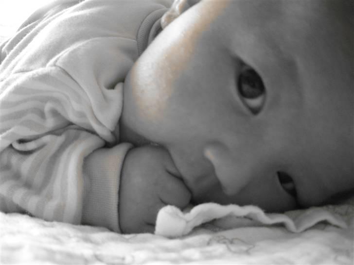 Pige Luna Lee - Baby luna<3 billede 8