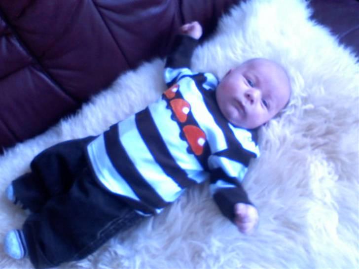 Dreng lucas billede 9