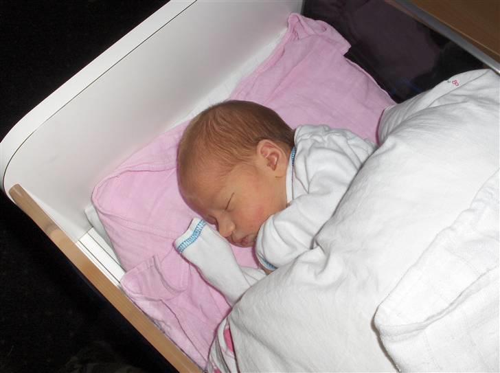 Pige isabella martine billede 4