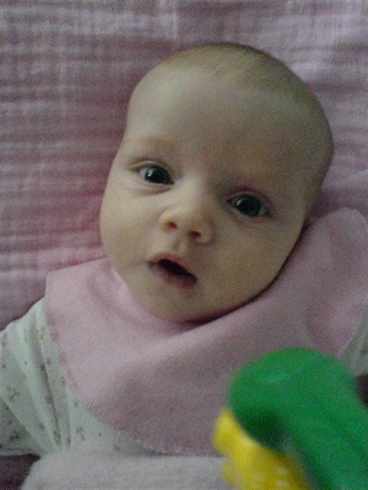 Pige Lotus billede 5