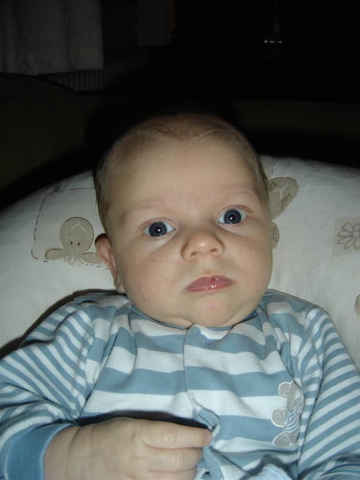 Dreng Noah billede 6