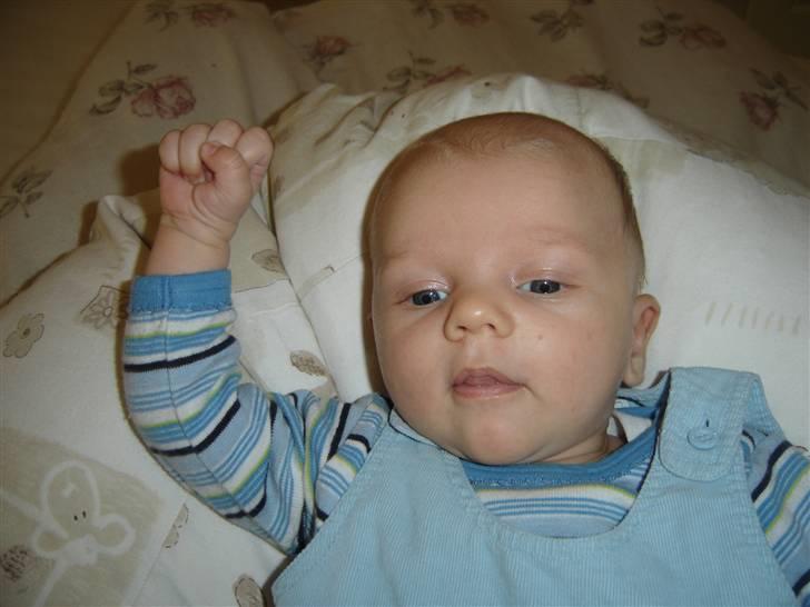 Dreng Noah billede 7