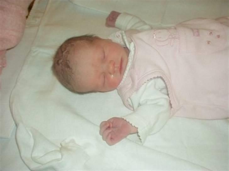 Pige Charlotte billede 1