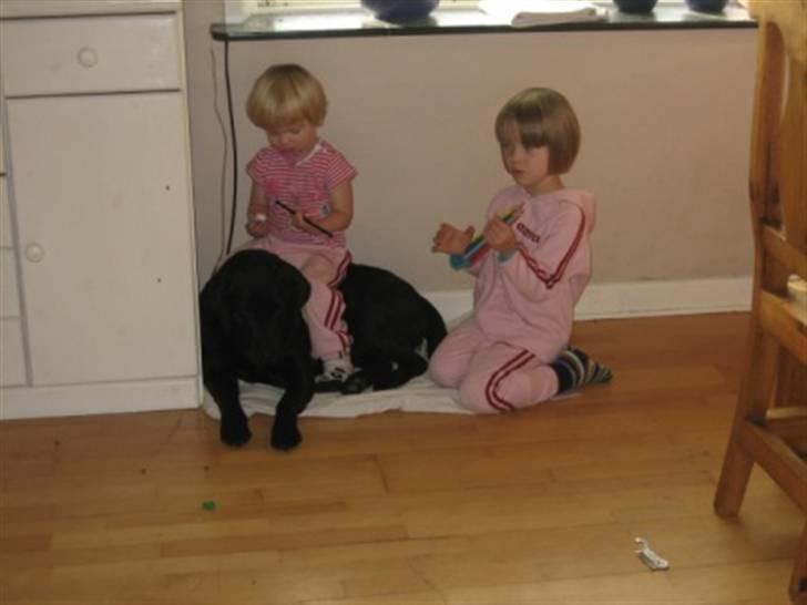 Pige Charlotte billede 6