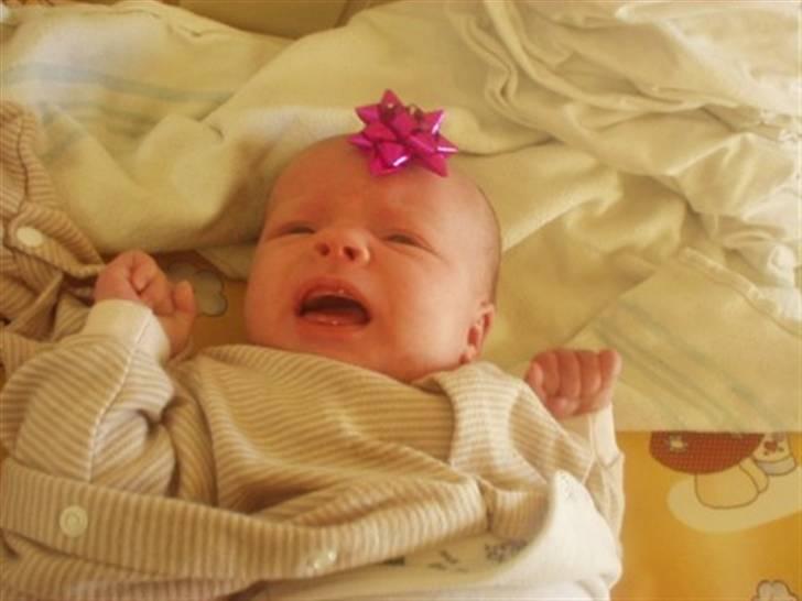 Pige Charlotte billede 7
