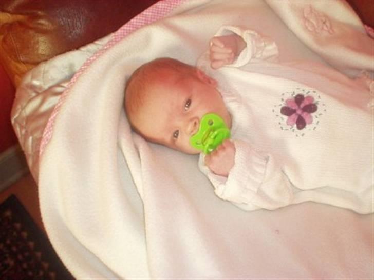 Pige Charlotte billede 10