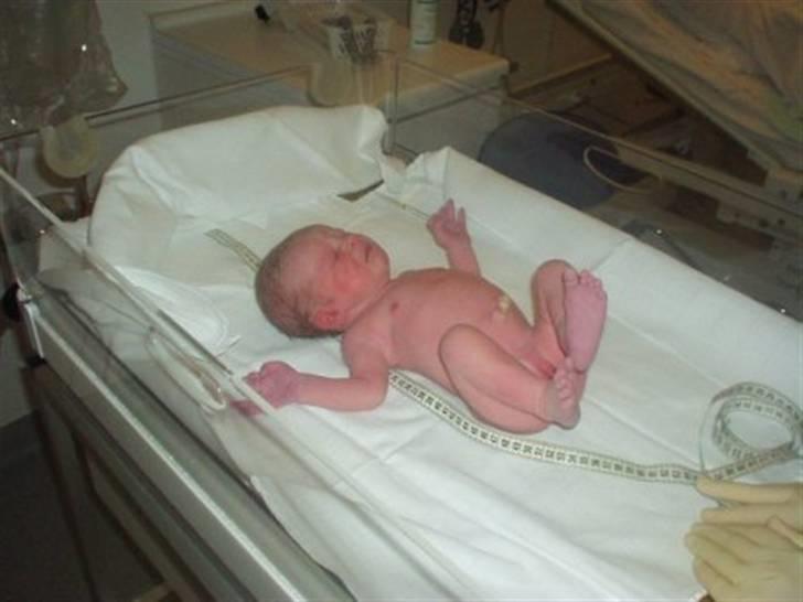 Pige Charlotte billede 12