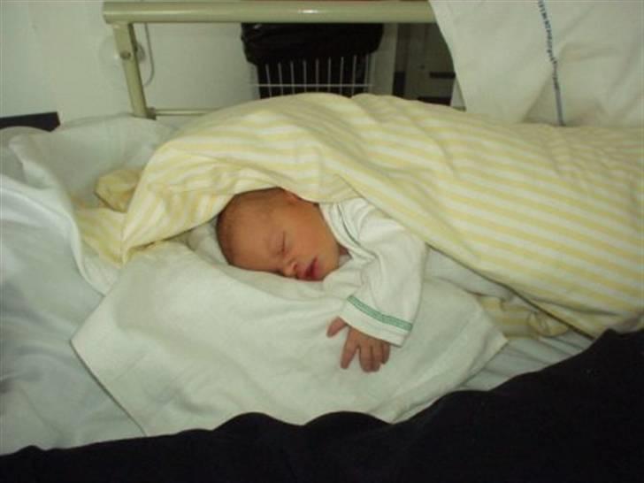 Pige Cecilie billede 2