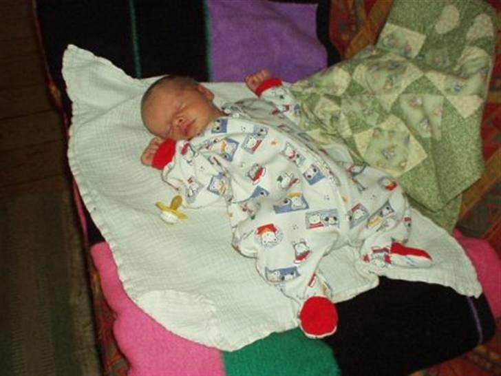 Pige Cecilie billede 9