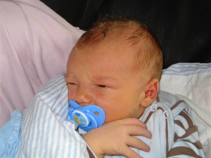 Dreng Nicklas - 2 dage gammel billede 1