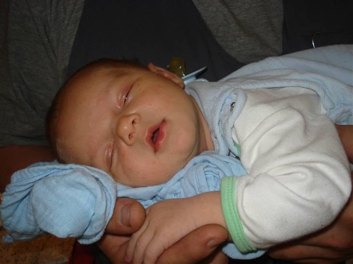 Dreng Nicklas - Åh hvad der må soves... Zzzzzzz znork... billede 4