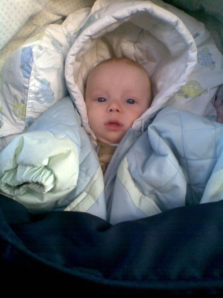 Dreng Nicklas billede 3