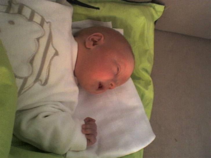 Dreng Nicklas billede 7