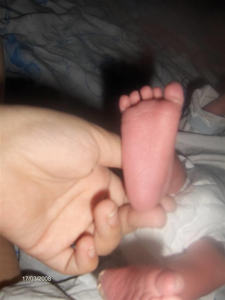 Dreng Marco Kristian A. Sabroe - lillebrors LILLE fod, han er 4 dage taget d.17.03.08 billede 9