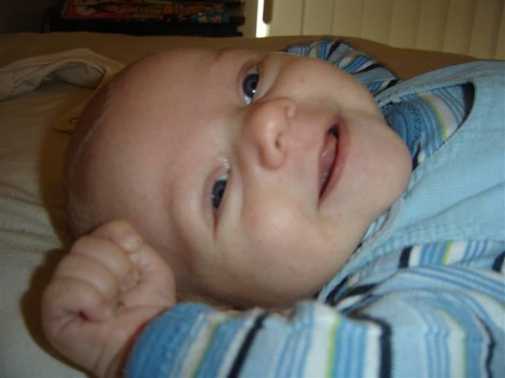 Dreng Noah billede 9
