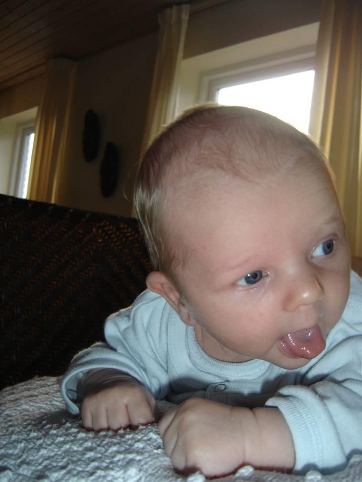 Dreng Noah billede 11