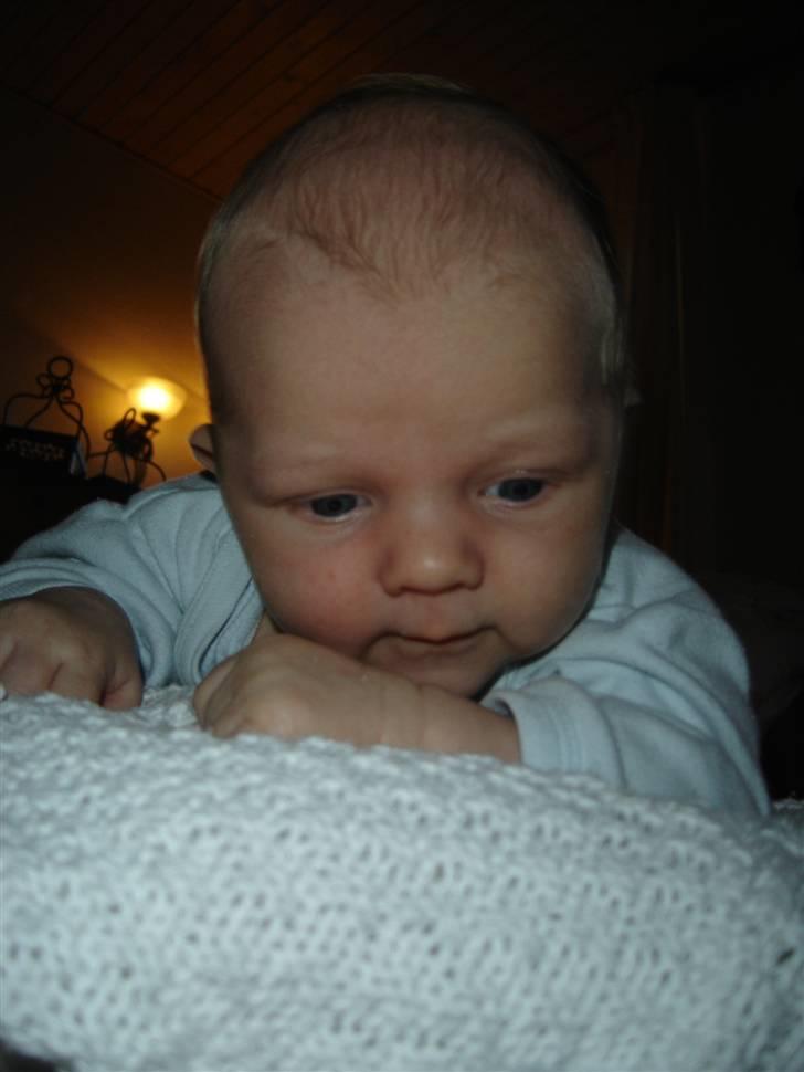 Dreng Noah billede 13