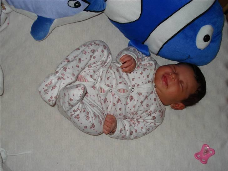 Pige Duaa - Frø. billede 13