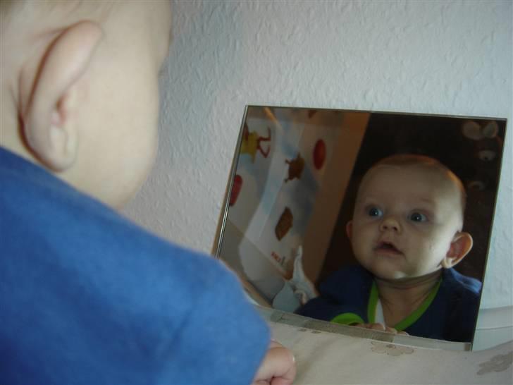 Dreng Noah - hey.. hvem der..? billede 16