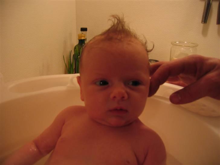 Pige Klara billede 1