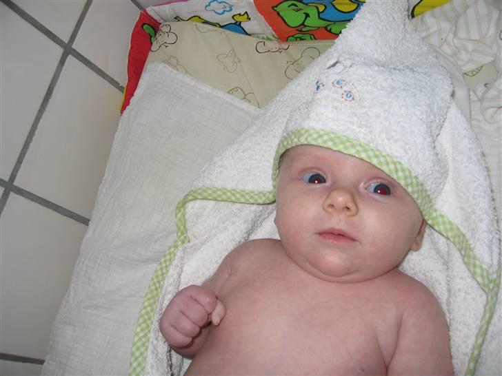 Pige Klara billede 3