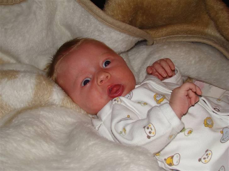 Pige Helene - Dette billede vandt jeg en fotokonkurrence i Babysam med :-D billede 9