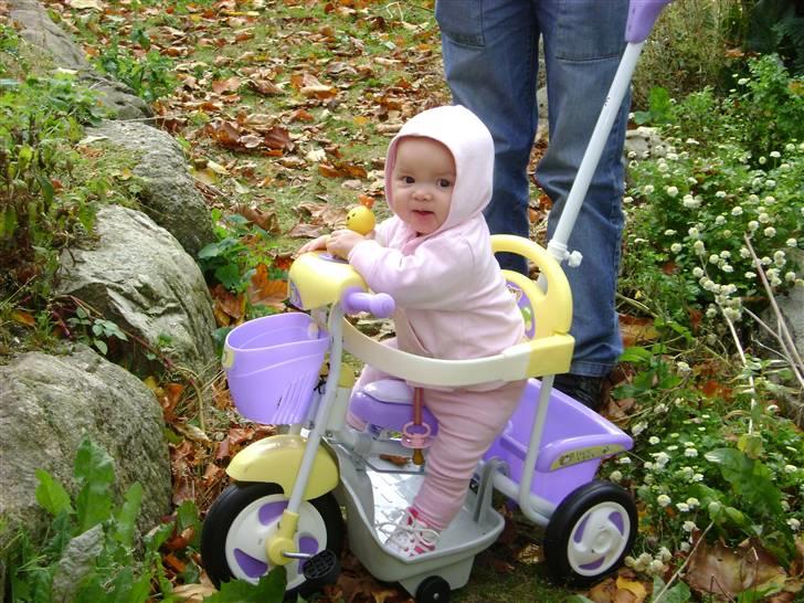 Pige Lærke Nicoline - Nye cykel :) billede 12