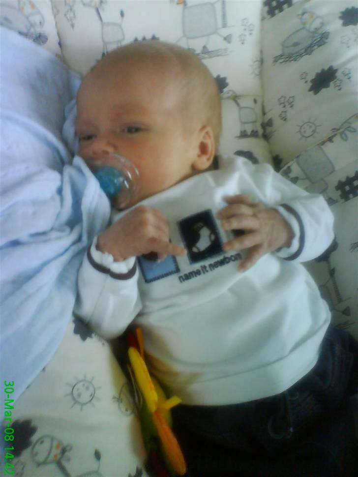 Dreng Malthe billede 7